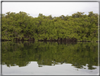 foto Isole Galapagos